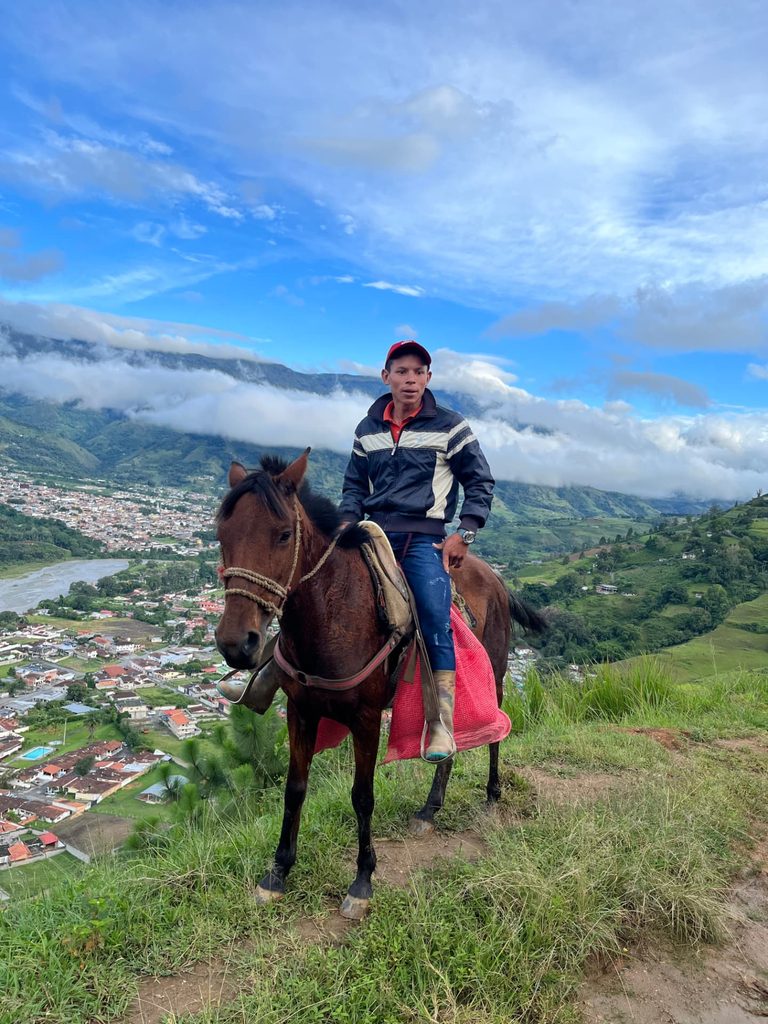 Productor a caballo transportando sacos de café sobre un valle andino venezolano