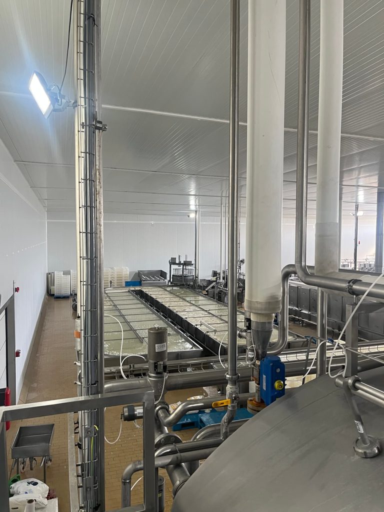 Interior de una planta láctea con tinas de cuajado y tuberías de acero inoxidable